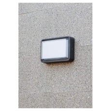 LED-Außenwandleuchte Pilot, 12 W, Anthrazitgrau,...